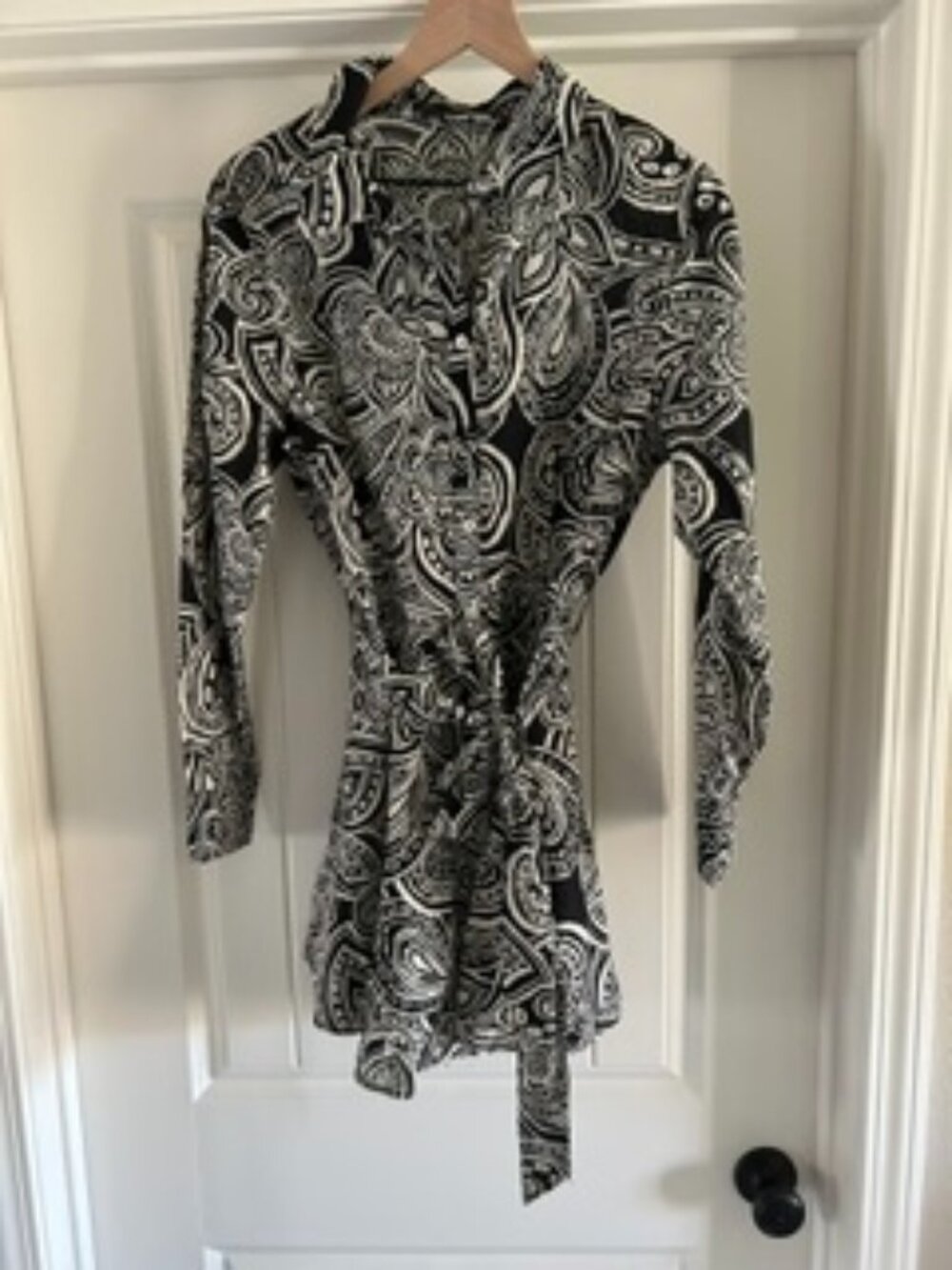 Woman's Zara Paisley Print Shirt Dress